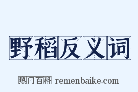 野稻反义词是什么意思的图片